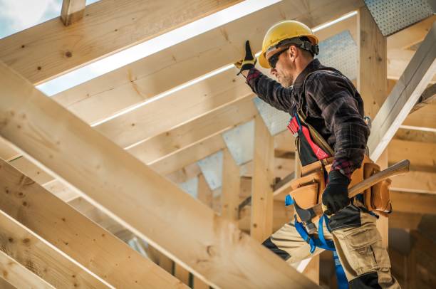Best Roof Gutter Cleaning  in Oconto Falls, WI