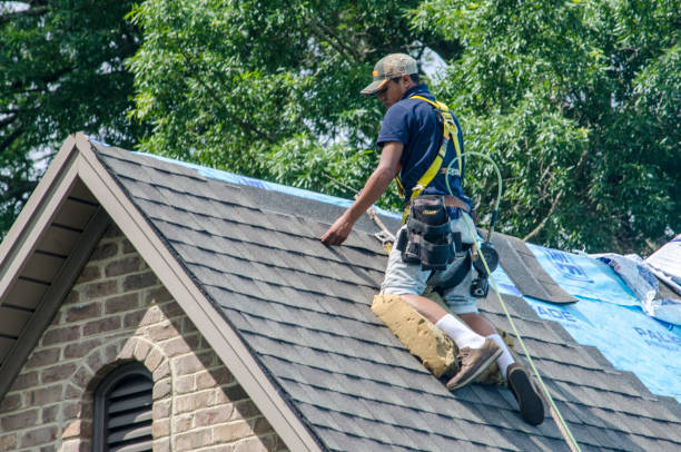 Best Roof Waterproofing Services  in Oconto Falls, WI